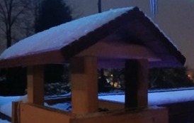 Nasza piękna Połomia