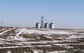 Nasza piękna Połomia