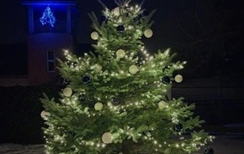 Nasza piękna Połomia