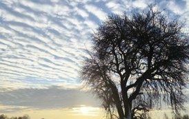 Nasza piękna Połomia