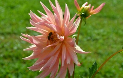 Zdjęcie do Fotografia lifestylowa w #laboratoriach przyszłości